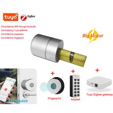 투야지그비모터