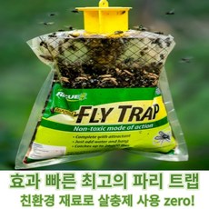 RESCUE파리포획기 추천 1등 제품