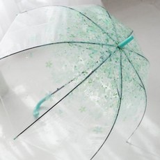 대나무우산