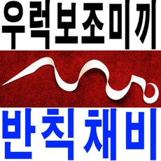 아그넬비키니