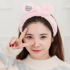 라이트세안밴드