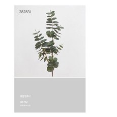 314e89ae8c9ca417f567b1193ab266a288dd6e3a43e99b9954d89d43b3c2.jpg