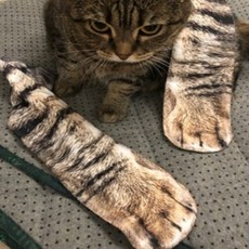 고등어수면양말