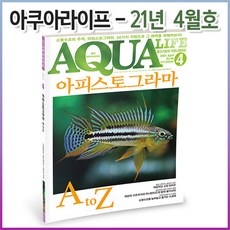 아쿠아라이프 2021년 04월호