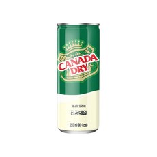 캐나다진저에일