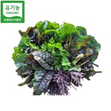 농장야채모듬