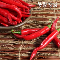 빨간물고추