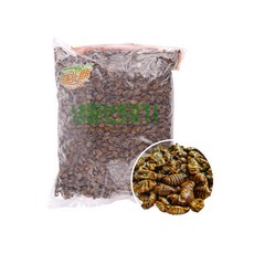 냉동 번데기 4kg, 1개