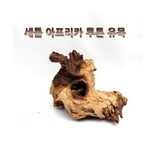 투톤유목 [20~30cm 랜덤] 1개