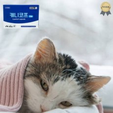 캐니코프 반려동물영양제 30캡슐 고양이비타민 리보플라빈 반려묘 면역력 길고양이 감기약, 1개