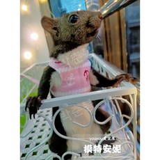 다람쥐 토끼 친칠라 하네스 몸줄 목줄 이동줄 이동장, 1개, 핑크 네이비