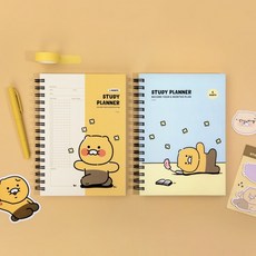 춘식이물놀이공