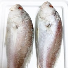 제수용 브라질 조기 2마리 (마리당400~500g내외), 1개