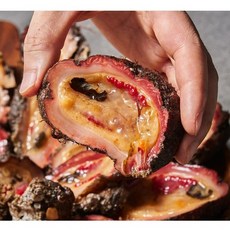 신선한 돌멍게 | 해산물의 참맛 제철 통영 멍게, 1개, 돌멍게 1kg (7~12미)