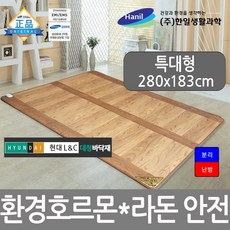 한일생활과학 프리미엄 거실 전기 장판 매트 바닥 환경호르몬 라돈안심 전기매트, 특대형 280x183cm