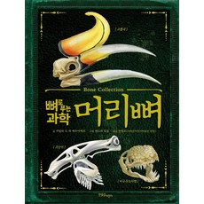 머리뼈
