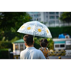 데이지투명우산