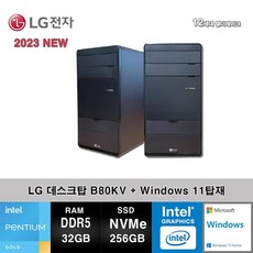 LG전자 데스크탑 12세대 펜티엄 컴퓨터 B80KV-AR2PS2W+WIN11 (Pen-G7400/32GB/SSD256GB/UHD710/WIN11)