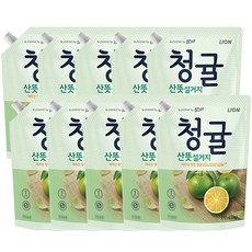 참그린 청귤 산뜻 설거지 주방세제 리필, 1kg, 10개