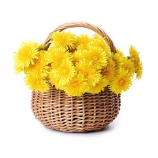냉장고 스티커 작은 데칼 룸 황금 3 화장실 QCF55BEAUTIFUL 선물 장식 가구 캐비닛 RATELS, 15cm 5.9 inch, QCF55-39