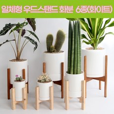 c65d954e750d3c24f9b52e94a4dbbb9819a2680c27082174be11de0f27fe.jpg