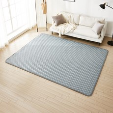 더안탄소매트260