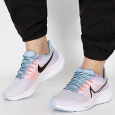 나이키페가수스39