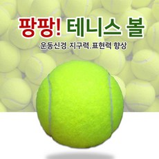 팡팡스포츠배구복