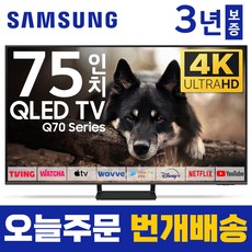 삼성 75인치 TV QLED UHD 4K 스마트TV 75Q70 유튜브 넷플릭스 미러링, 1.매장방문