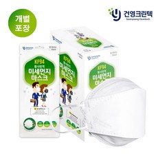 건영크린텍 KF94 황사방역마스크(40매)