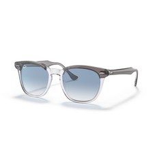 레이벤호크아이