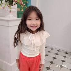 에이레벨레이스케이프