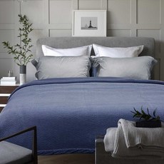 바세티스프레드