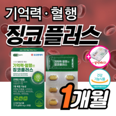 징코 플러스 기억력 혈행 개선 에 좋은 맥스 은행잎추출물 혈관 부모님 수험생 징코 50대 민 40대 선물 식약청 식약처 집중력 청소 여성 남성 뇌 빌로바 +도레미잡화점 약케이스, 1개, 30정