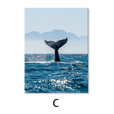 두꺼비집가리개고래