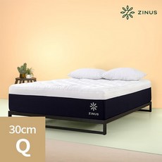 아트박스/지누스 클라우드 플러스 메모리폼 매트리스 (30cm/퀸), 본품
