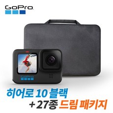 고프로히어로10