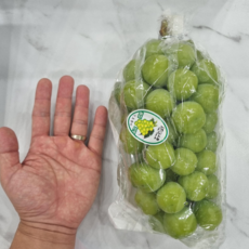 산지직송샤인머스켓1kg