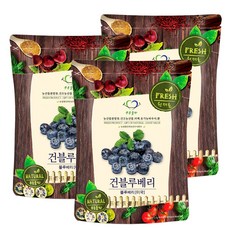푸른들판 건블루베리 반건조 말린 건조 블루베리 과일 말랭이 베리류 샐러드 베이글 베이킹 토핑, 3개, 300g