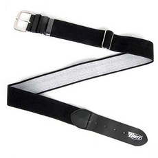 와일드브릭스벨트