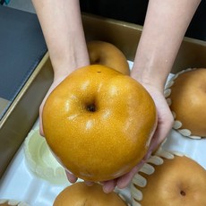 원황배15kg