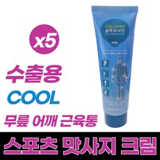 마켓정감/수출용 스포츠 맛사지 겔 젤 크림 쿨링 cool 글루코사민 선인장 바디 근육 관절 무릎 운동 골프 엘보 통증 완화 바르는 파스 빠른진정 150ml/호랑이크림 백년초추출물, 150ml, 5개