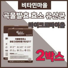 비타민마을 퍼펙트바이오틱스 곡물발효효소 마이크로바이옴 유산균 17 3g 30포 하루 한번 한달분 분말형 미숫가루맛 16혼합 곡물 유산균 유상균 프락토올리고당 덱스트린 비타민C, 2개, 90g
