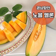 [함안] 노을 멜론 칸탈로프멜론 메론 고당도 레드멜론 제철과일