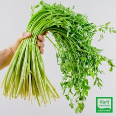 청도 무농약 한재 미나리, 1개, 1kg