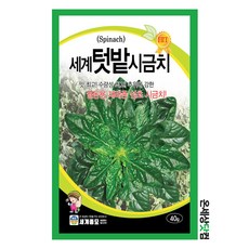 요양원게이트볼