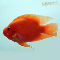 7d0098c04fc94f5b2cb8b6ba0f3731853e8e552816dea3c1c96da3b49f1c.jpg