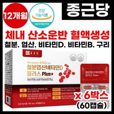 [종근당] 종근당 철분 영양제 혈액 생성 체내 산소 운반 도움 식 약 처 인증 종근당 철분 엽산 비타민d 플러스 구리 비타민b 골다공증 예방 뼈건강 종근당 철분제 추천, 6박스, 60정