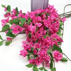 d52494612d97d5fb30718cc7fc39a95acd0a7abcf20f24dcd717834a5599.jpg