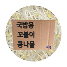 국밥용 꼬불이 콩나물 4kg, 1박스